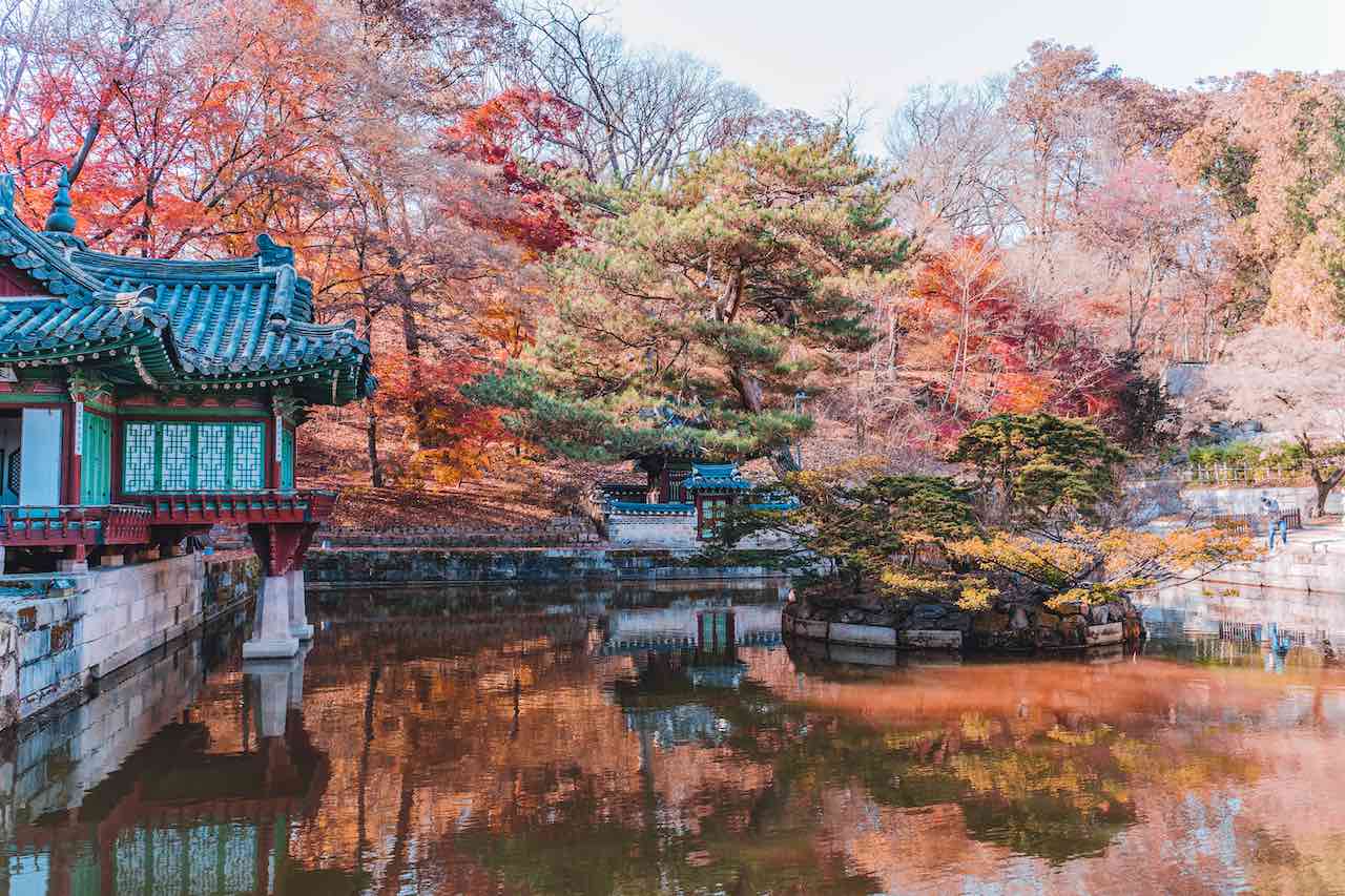 Visiter Séoul : guide complet et idée d’itinéraire sur 5 jours